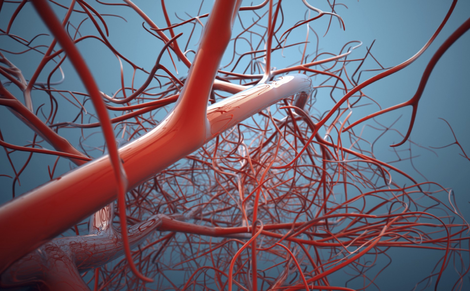 You have 160 thousand km of blood vessels
